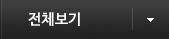 전체보기